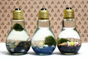 Crafty Bulb Aquarium