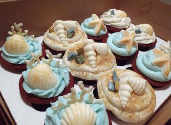 Sea Shells Cupakes