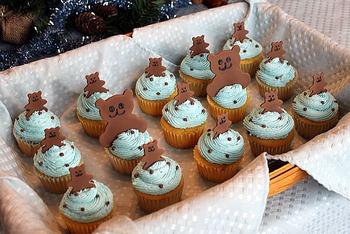 Bear Cupcakes