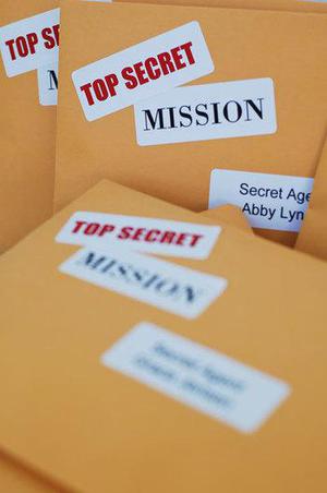 Top Secret Favors