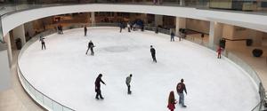 Lloyd Center Ice