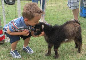 Rebecca's Jolly Jump Petting Zoo