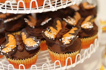 Irresistable Butterfly Choco Cupcakes