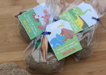 Dinosaur Egg Party Favor Bag