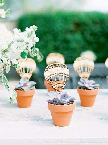 Succulent Hot Air Balloon Baby Shower Favor