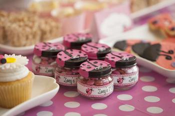 Lady Bug Jar Favors