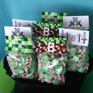 Minecraft Party Favor Bags