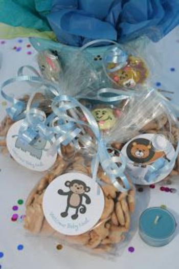 Noahs Ark Baby Shower Favor Idea