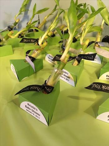 Bamboo Stalk Favors