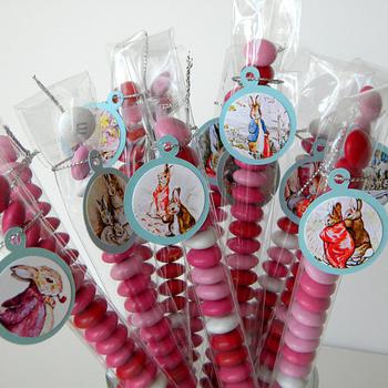 Peter Rabbit Party Favor Treat Bags