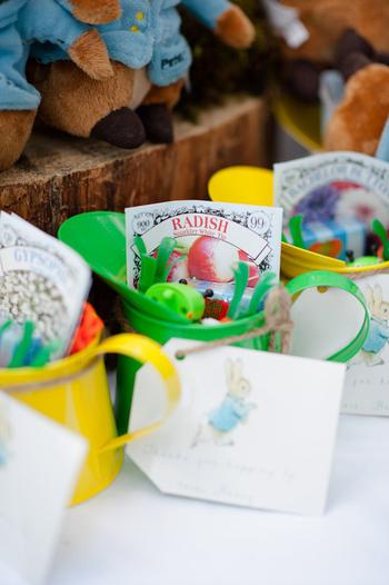 Peter Rabbit Party Favors Seeds