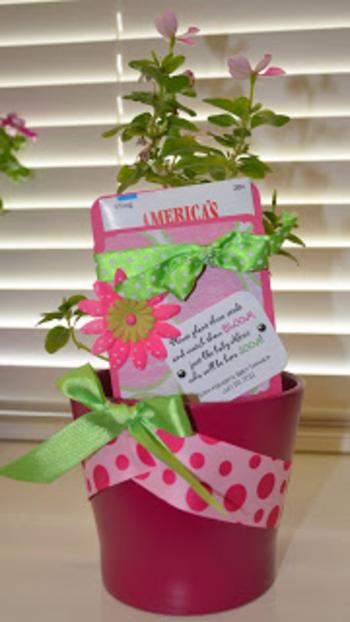 Flowery Pot And Seeds