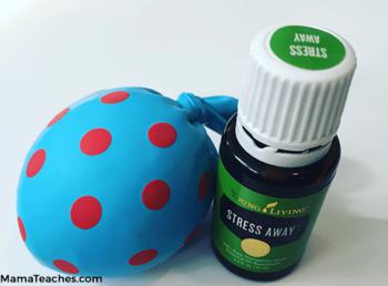 Essential Oil Fidget Stress Ball