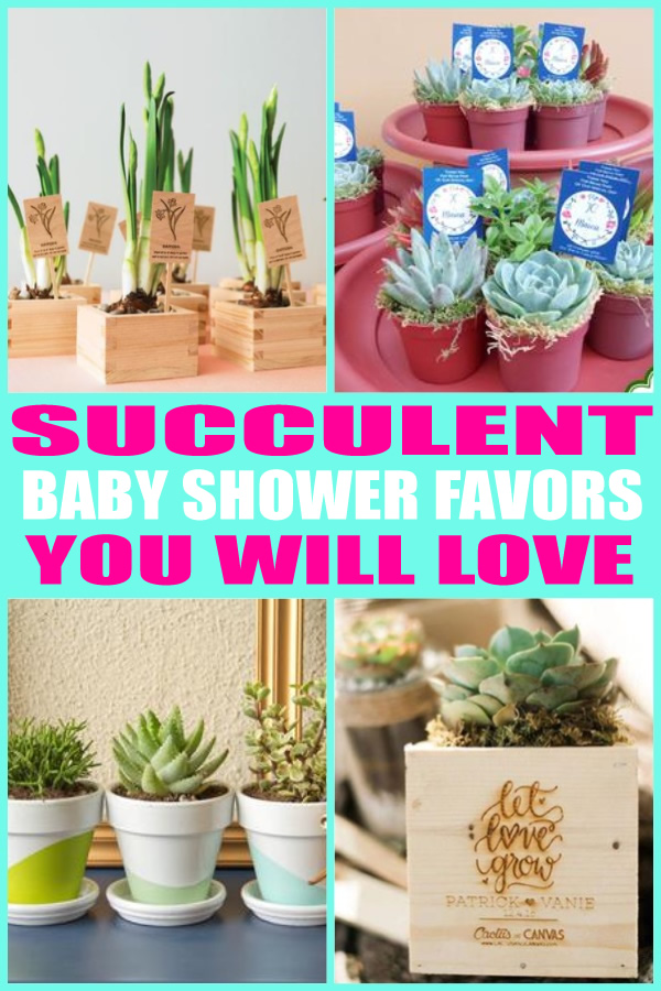 succulent plant baby shower favor