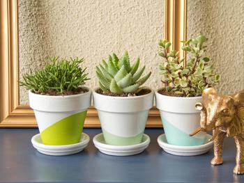 Diy Pot For Succulents