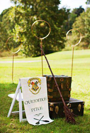 Diy Quidditch Pitch