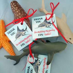 Shark Party Favors