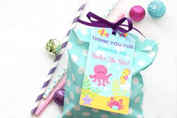 Under The Sea Baby Shower Goodie Bag
