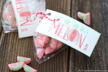 Watermelon Candy Favor Ideas