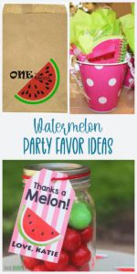 watermelon party favor ideas